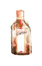 Cointreau bottle illustration