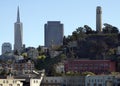 Coit Tower and TransAmercia