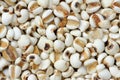 Coix kernels Royalty Free Stock Photo