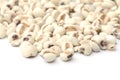 Coix seed isolated Royalty Free Stock Photo