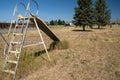 Swingset and playground at an old abandoned seedy motel, with overgrown weeds in the parking