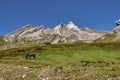 Col Agnel- mountain pass in the Cottian Alps Royalty Free Stock Photo