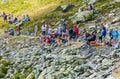 Spectators - Tour de France 2015 Royalty Free Stock Photo