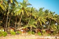 Cola beach Goa. South Goa India, Sunny tropical beach