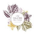 Vector Cola tree vintage sketch. Vintage design with hand drawn with leaves, flowers, fruits and seeds. Botanical frame template.