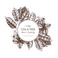 Vector Cola tree vintage sketch. Vintage design with hand drawn with leaves, flowers, fruits and seeds. Botanical frame template.