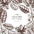 Vector Cola tree vintage sketch. Vintage design with hand drawn with leaves, flowers, fruits and seeds. Botanical frame template.