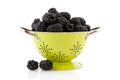 Colander with brambles Royalty Free Stock Photo