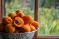 Colander with delicious ripe apricots near window. Space for text