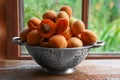 Colander with delicious ripe apricots on wooden table near window