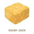 Colby gack.Different kinds of cheese single icon in cartoon style rater,bitmap symbol stock illustration web.