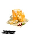 Colby-Jack Cheese with radish digital art illustration isolated on white background. Fresh dairy product, healthy