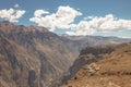 COLCA, AREQUIPA,PERU - NOVEMBER 26 - People full of expectation waiting for andean condors in Colca, Arequipa, Peru