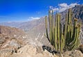 Colca Canyon