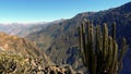 Colca Canyon Landscape, Arequipa, Peru Royalty Free Stock Photo