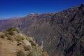 Colca canyon near Cruz Del Condor viewpoint. Arequipa region, Peru,South America Royalty Free Stock Photo