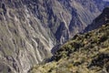 Colca canyon near Cruz Del Condor viewpoint. Arequipa region, Pe Royalty Free Stock Photo