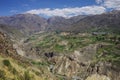 Colca Canyon panorama, Peru,South America. Incas to build Farming terraces. Royalty Free Stock Photo