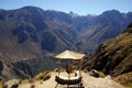 Colca canyon, Peru Royalty Free Stock Photo