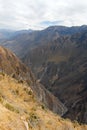 Colca Canyon, Peru Panorama Royalty Free Stock Photo