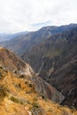 Colca Canyon, Peru Panorama Royalty Free Stock Photo