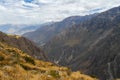 Colca Canyon, Peru Panorama Royalty Free Stock Photo