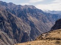 Colca canyon in Peru, panoramic view point Royalty Free Stock Photo