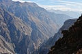 Colca Canyon in Peru. Royalty Free Stock Photo