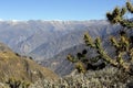 Colca Canyon Royalty Free Stock Photo
