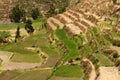Colca Valley, Peru Royalty Free Stock Photo