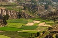 Colca Valley, Peru Royalty Free Stock Photo