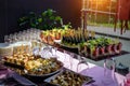 Cold appetizers at banquet, restaurant service, catering. Variety of delicious starters on wooden skewers and salads in small Royalty Free Stock Photo