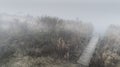 Cold autumn foggy morning near a beautiful fishing lake in Sic. Romania