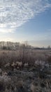 Cold autumn morning. Frosty autumn morning. Frost in the autumn landscape