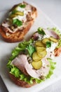 Cold baked pork, pickle and lettuce with remoulade danish tartar sauce Smorrebrod