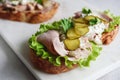 Cold baked pork, pickle and lettuce with remoulade danish tartar sauce Smorrebrod