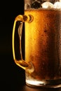 The cold beer Royalty Free Stock Photo