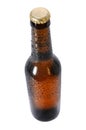 Cold Beer Bottle Royalty Free Stock Photo
