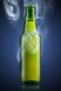 Cold beer bottle Royalty Free Stock Photo