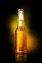 Cold beer bottle Royalty Free Stock Photo