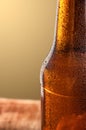 Cold beer bottle. Fresh beer bottle concept. Royalty Free Stock Photo