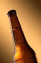 Cold beer bottle. Fresh beer bottle concept. Royalty Free Stock Photo