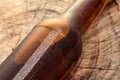 Cold beer bottle. Fresh beer bottle concept. Royalty Free Stock Photo