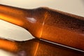 Cold beer bottle. Fresh beer bottle concept. Royalty Free Stock Photo