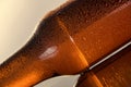 Cold beer bottle. Fresh beer bottle concept. Royalty Free Stock Photo