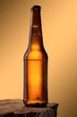 Cold beer bottle. Royalty Free Stock Photo