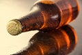 Cold beer bottle. Royalty Free Stock Photo