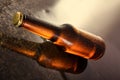 Cold beer bottle. Royalty Free Stock Photo