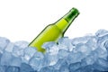 Cold beer bottle Royalty Free Stock Photo