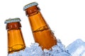 Cold beer bottles Royalty Free Stock Photo